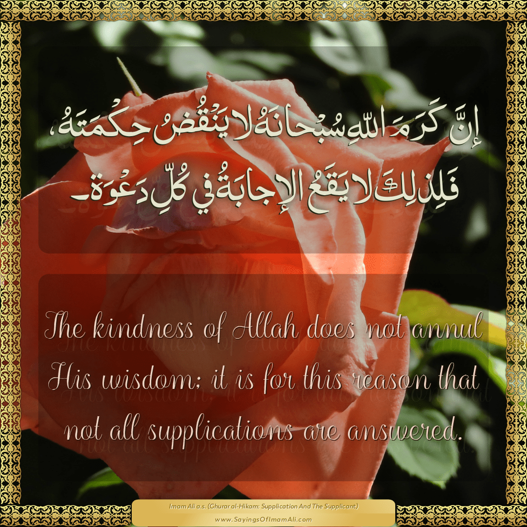 The kindness of Allah does not annul His wisdom; it is for this reason...